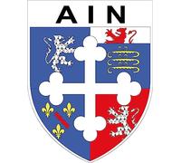 1 Grand ECUSSON Autocollants 9x8 cm - Blason AIN département 01 - Sticker