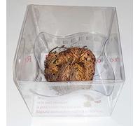 1 grande rose de Jericho (6/9 cm) dans une boîte cadeau - avec soucoupe en PVC Selaginella lepidophylla Jerico Gericho - livré dans un carton robuste