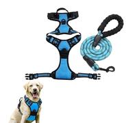 1 harnais rembourré doux pour chien, harnais anti-traction pour chiens avec design Step-in, harnais respirant pour chien de taille M, S ou L pour promenade décontractée, harnais pour la course, la