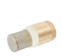 1 Inch BSP Internal Thread Brass Foot Valve DN25 With Check Valve Stainless Steel Basket Suction Basket For Water Plumbing Pump
