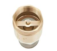 1 Inch Internal Thread Brass Foot Valve DN25 With Check Valve Stainless Steel Basket Suction Basket For Water Plumbing Pump