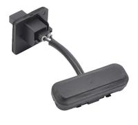 1 interrupteur de déverrouillage de coffre compatible avec Buick Regal Opel Vox, interrupteur de déverrouillage de coffre, interrupteur d'ouverture de hayon pour Insignia 13422268
