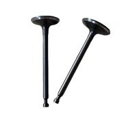 1 Jeu de soupapes d'admission et d'échappement for GXH50