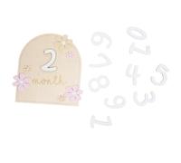 1 Jeu Plaque De Porte Bébé En Bois Souvenirs De Bébé Cartes De Blocs D'étape Carte D'âge De Bébé Blocs D'étape De Bébé Étape Mensuelle Du Photo Nouveau Née La Première Fois