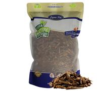 1 kg de criquets Lyra Pet® séchés