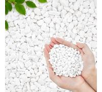 1 kg de galets de gravier blancs pour plantes, 6-9 mm, gravier de couverture pour plantes grasses et cactus naturels polis pour vases, aquarium, bonsaï, bambou, hydroponie, décoration d'intérieur
