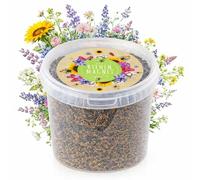 1 kg de graines de prairie colorées pour un pâturage fleuri - sauvages multicolores & riches en nectar pour abeilles & papillons (ebook GRATUIT inclus)