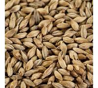 1 kg de malt fumé pour bière fumée, bière de camp, bière de cave EBC 3-6