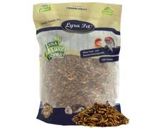 1 kg de mélange d'insectes Lyra Pet® Protein Boost - avec vers de farine, crevettes & sauterelles