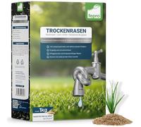 1 kg de semences de gazon résistantes à la sécheresse pour gazon sec et gazon ombragé, semences d’herbe à germination rapide, 40m², idéal pour la nouvelle plantation et la resemence, semences de gazon