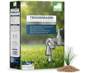 1 kg de semences de gazon résistantes à la sécheresse pour gazon sec et gazon ombragé, semences d’herbe à germination rapide, 40m², idéal pour la nouvelle plantation et la resemence, semences de gazon