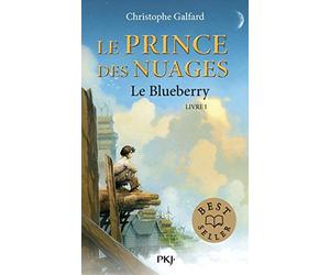 1. Le Prince des Nuages : Le Blueberry de GALFARD, Christophe (2011) Poche