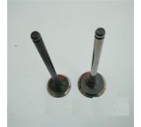 1 Line Soupape D'admission/Soupape D'échappement, 16 Pièces/Ensemble, Pour Saic Roewe 350 Mg3 Mg5 10020743/10049011 L Automobile "Nipseyteko
