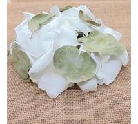 1 Litre Vrai Pétale de Roses blanche éternelle et Feuilles d'Eucalyptus séché naturel - Confettis de Mariage Blanc et vert sauge Biodégradable - Décoration centre de table Bohème - France