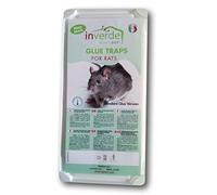 1 lot = 2 plaques Plastique de glu Anti Rat et Anti Souris - NUISIPRO …