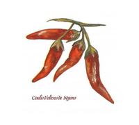 1 Lot de 10 Serviettes en Papier Piment de Cayenne 33x33cm - serviettage - Set activité créative + Carte Tigre