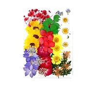 1 lot de feuilles pressées et de fleurs en résine époxy pour remplissage de moules séchés et séchés