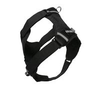 1 lot de harnais pour chien avec sangle de fixation pour caméra d'action pour capturer l'aventure depuis la poitrine ou le dos