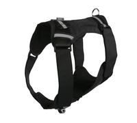 1 lot de sangles pour chien pour caméra d'action pour capturer l'aventure de la poitrine ou du dos à deux vues
