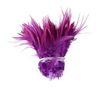 1 lot d'environ 800 à 1 000 plumes de faisan blanches et noires pour l'artisanat, le coq, les bijoux DIY, les boucles d'oreilles, le décor de Dreamcather - Magenta