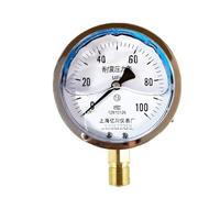 1 manomètre YN100 4" M20*1,5 ou 1/2" BSP, boîtier en acier inoxydable de 100 mm, résistant aux chocs, à bain d'huile, montage inférieur(0-1.6Mpa)