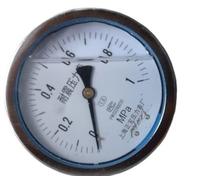 1 manomètre YN100 4" M20*1,5 ou 1/2" BSP, boîtier en acier inoxydable de 100 mm, résistant aux chocs, à bain d'huile, montage inférieur(0-100Mpa)