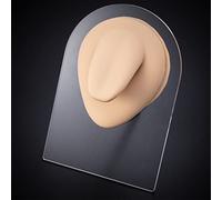 1 modèle de bouche, nez, oreille, langue, en silicone, avec présentoir, outil pédagogique for piercing et bijoux(OT14031-4)