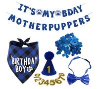 1 Morceau De Drapeau De Traction, 1 Ensemble De Chapeau D'Anniversaire, 1 Nœud Papillon, Écharpe 1 Morceau Et 10 G De Confettis, Fournitures De Fête D'Anniversaire De Chien, Décorations De Fête.