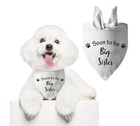 1 mouchoir blanc pour chien bandana triangulaire avec inscription « Hurry Up Big Brothers » - Écharpe lavable avec inscription « Hurry Up Big Brothers » - Pour grands ou petits chiens - Révélation du