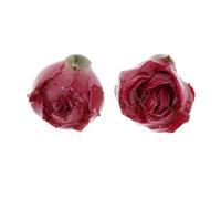 1 paire de boucles d'oreilles à tige en forme de fleur pour loisirs créatifs, rouge