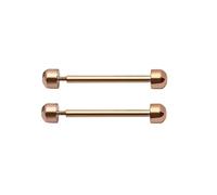 1 paire de goupilles à vis pour bracelet de montre intelligente, fermoir à boucle, tube à friction, accessoires de rechange pour montre 16 mm, 18 mm, 20 mm, 22 mm, rose gold, 20mm