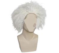 1 paire de lunettes + barbe + sourcils + perruque 30 cm savant fou et docteur blanc for Halloween, Noël l'école