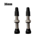 1 Paire De Tiges De Valve Sans Chambre Pour Vtt, 36/40/44/48/50/60mm, Presta, Noyau Amovible Fv, Tige De Valve De Vélo, Argent, Accessoires De Vélo
