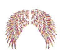 1 paire d'écussons brodés en forme d'aile, diable cousu sur des appliques