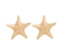 1 paire d'épingles à cheveux contemporaines en forme d'étoile de mer pratiques en résine pour filles et femmes - Antidérapantes - En métal - Décoration de cheveux légère en résine