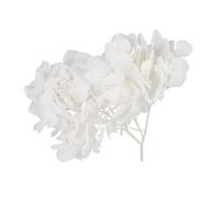 1 Paquet Pack Fleurs Préservées Hortensia Blanches Séchés Naturels pour Décoration DIY Mariages Art