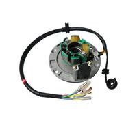 1 pcs Bobine de stator 150cc 155cc 160cc