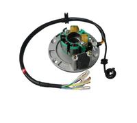 1 pcs Bobine de stator 4 Stroke 1P60 150cc 155cc 160cc