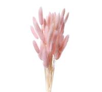 1 Pcs Roseau Queues De Lapin Queue De Lapin Fleurs Séchées Décor De Table Tiges De Fleurs Séchées Noël Artisanat Pick Pampa Préservée Naturel Tiges De Pampa Pennisetum Magnifique