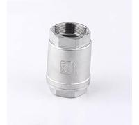 1 pièce 1/2 "3/4" 1 "1-1/4" 1-1/2 "2" BSPT acier inoxydable SS304 levage Vertical en ligne clapet anti-retour à ressort DN15 DN20 DN25 DN32 DN40 DN50(DN15)