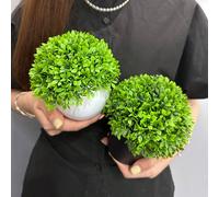 1 pièce/2 pièces Bonsaï de buis artificiel, feuille d'eucalyptus miniature imitation, pots en plastique noir et blanc, matériau PP/PE, décorations de bureau, fleurs artificielles, plantes d'imitation,