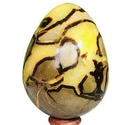1 pièce 300-350 g Pierre de dos tortue en forme d'œuf Cristal dragon fissuré