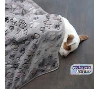 1 pièce Couverture pour animaux de compagnie avec design carré à empreinte de patte, mince et confortable, convient aux animaux de compagnie de petite/moyenne/grande taille toute l'année L,M,SPlantesP