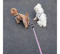 1 pièce de laisse pour chien détachable sans nœud à double tête avec motif vague, convertible en une seule laisse pour promener deux chiens simultanément. Légère et durable, idéale pour l'extérieur et