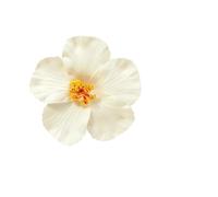 1 pièce de pinces à cheveux de plage douces for femmes, ornements de cheveux en fleur d'hibiscus, frange(Color 6)