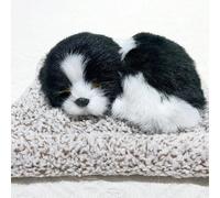 1 Pièce Décoration De Voiture Réaliste De Chien De Border Collie, Sac À Charbon De Bambou En Cristal Nano Créatif Pour Voiture, Jouet En Peluche, Artisanat Artisanal De Décoration De Maison Taille Uni