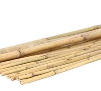 1 pièce du Tonkin Bambou Barre 200 cm NATURE par. 1,6 à 1,8 cm - Bambou tubes Tube en bambou