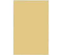 1 pièce ecusson thermocollant,ecusson a coudre,ecusson,Patchs RéParation En Nylon,Patch de Réparation de Doudoune,Pour VêTements,Vestons, Sac de Couchage(couleur crème,20x14.5cm)