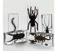 1 pièce Géante Scolopendre, Spécimen d'insecte réel Araignée géante à 8 pattes, Homard, Cerf-volant, Crabe, Mante religieuse, Scarabée noir, Mante religieuse, Modèle d'artisanat en résine de scorpion 