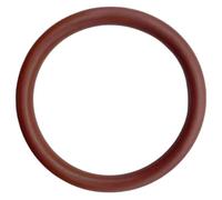 1 Pièce Joint Torique en Caoutchouc Fluoré, Diamètre Extérieur 170mm, Largeur 6mm, Couleur Marron